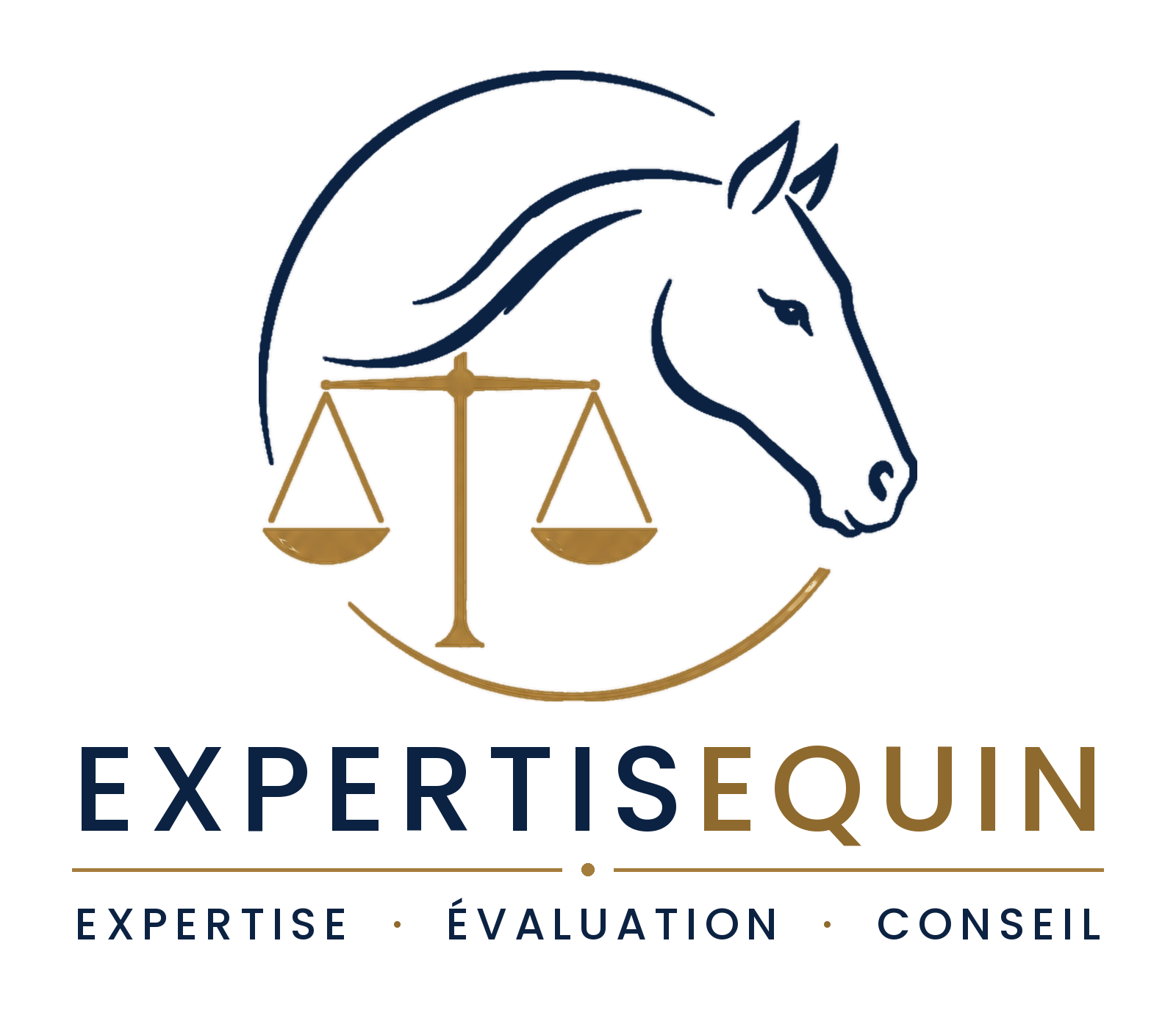 Expertisequin — Expertise, évaluation, conseil